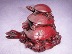 Tortue longue vie
