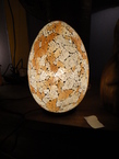Lampe exotique