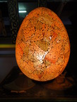 Lampe exotique